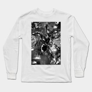 Tarantula Molting 1 Long Sleeve T-Shirt